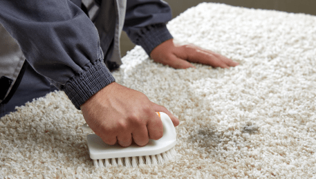 Professional Rug Cleaning Mount Eliza